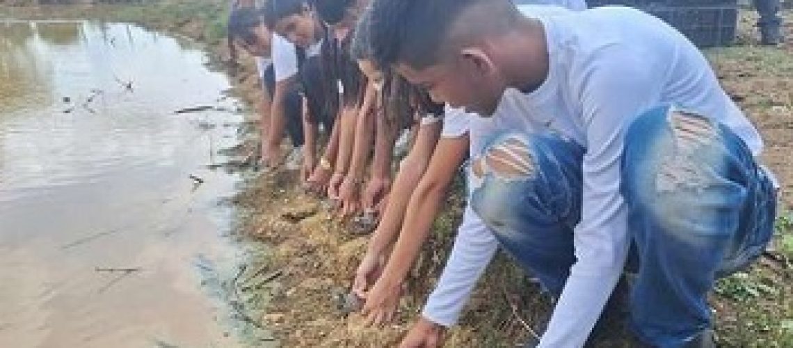 Captura-de-pantalla_24.