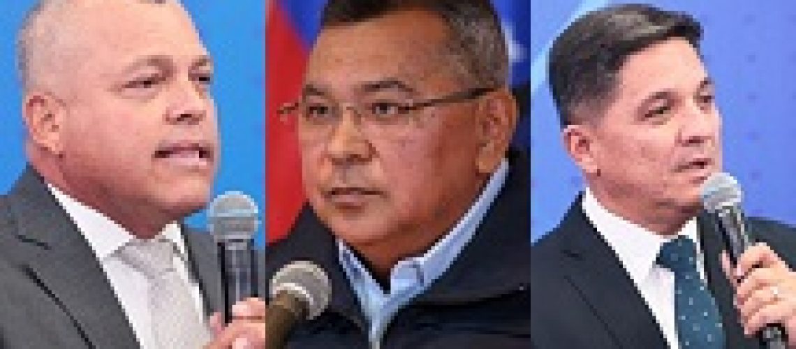 jefe-de-estado-anuncio-23